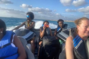 Cape Verde: Santa Maria Bay Dolphin Watching Tour