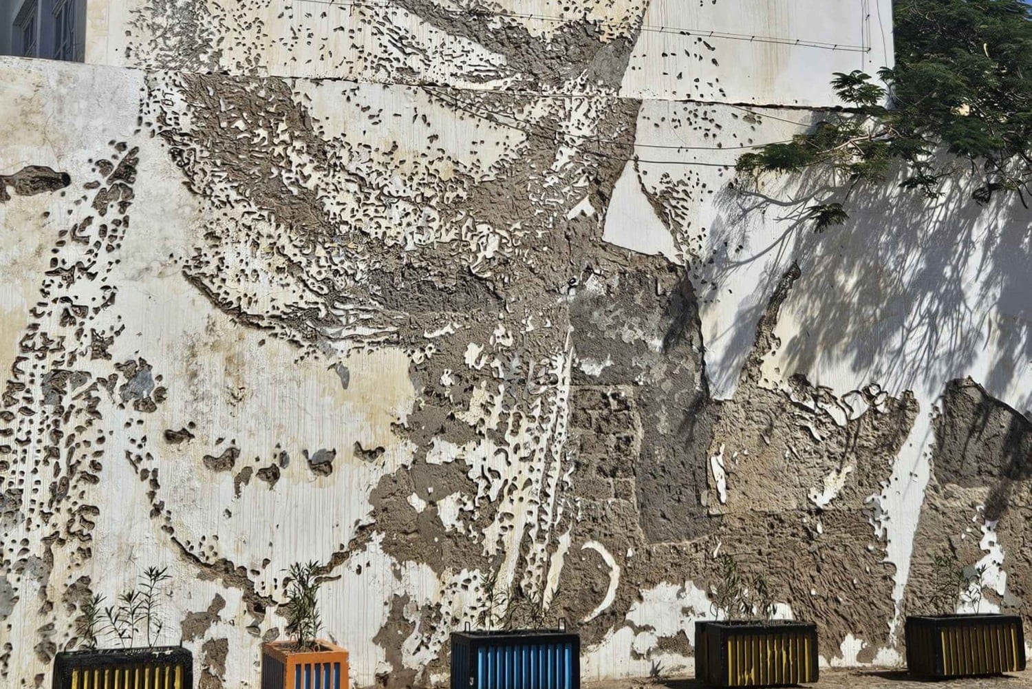 Cesarias liv och musik