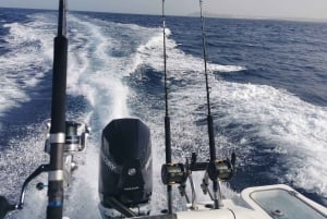 Pesca em alto mar em Boa Vista - Charter privado