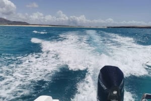 Pesca em alto mar em Boa Vista - Charter privado