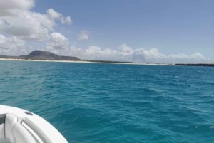 Pesca em alto mar em Boa Vista - Charter privado