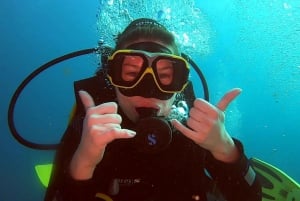 Discover Boa Vista Underwater