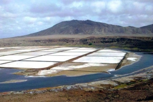 Full-day tour - Salt Mine, Natural pool, Shark bay