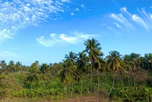 Descubra Santiago: Visita à Plantação, Arte Urbana e Workshop Gastronômico