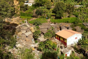 Descubra Santiago: Visita à Plantação, Arte Urbana e Workshop Gastronômico