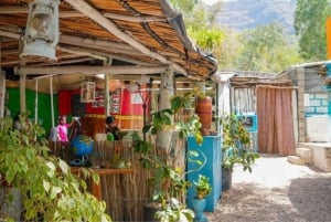 Descubra Santiago: Visita à Plantação, Arte Urbana e Workshop Gastronômico