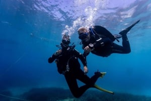 Discover Scuba Diving for beginners