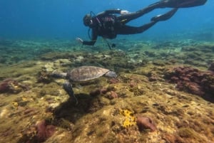 Discover Scuba Diving for beginners