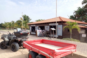 Discover Scuba Diving für Anfänger