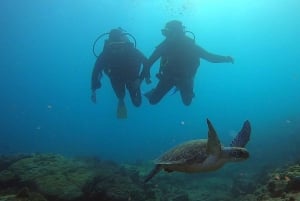 Discover Scuba Diving programma voor beginners
