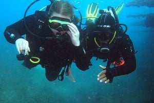 Programma di immersione subacquea per principianti
