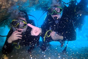 اكتشف برنامج الغوص للمبتدئين