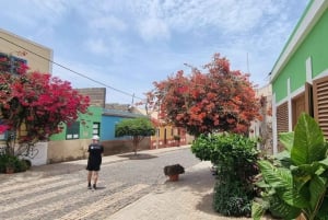 Itäinen kierros - majakka, kilpikonnien luonnonsuojelualue, baobab-puu ...