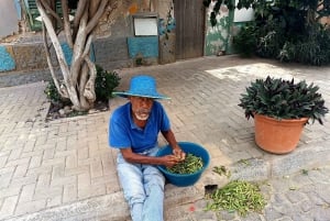 Boavista - East Tour - Lighthouse, Mucheln Beach, Colorful Villages, Goat Farm