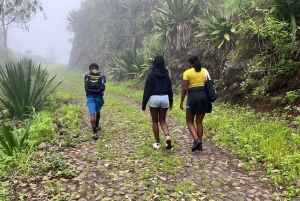 Sentier écologique dans la Serra Malagueta + Expérience culturelle à Boa Entrada