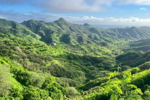 Sentier écologique dans la Serra Malagueta + Expérience culturelle à Boa Entrada