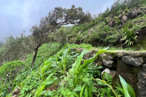 Sentier écologique dans la Serra Malagueta + Expérience culturelle à Boa Entrada
