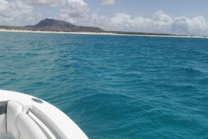 ボア・ビスタで海を満喫 - プライベートボートツアー