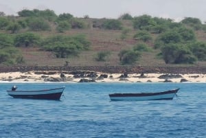 ボア・ビスタで海を満喫 - プライベートボートツアー