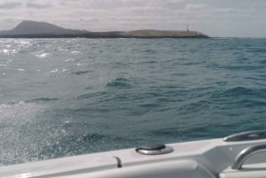 ボア・ビスタで海を満喫 - プライベートボートツアー