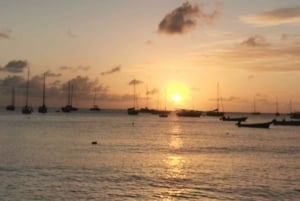 ボア・ビスタで海を満喫 - プライベートボートツアー