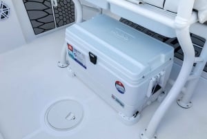 ボア・ビスタで海を満喫 - プライベートボートツアー