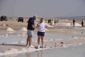 Explore Sal Island: Full-Day Adventure to All Must-See Spots