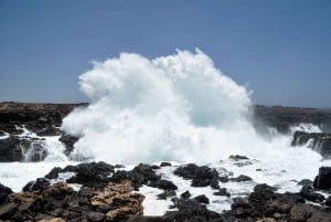 Explore Sal Island: Full-Day Adventure to All Must-See Spots