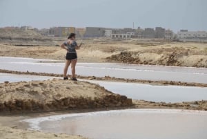 Explore Sal Island: Full-Day Adventure to All Must-See Spots