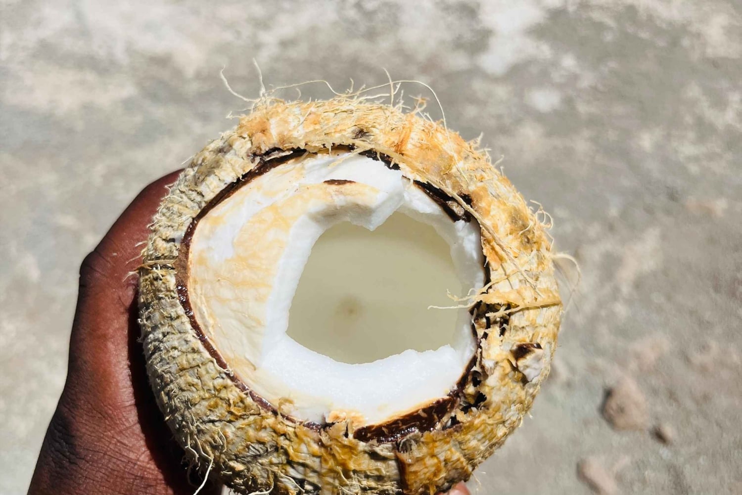 Poznaj największą plantację bananów na Cabo Verde