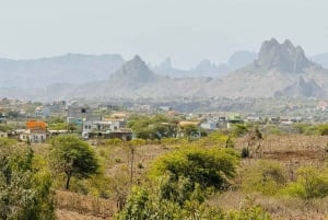 Explore the largest banana plantation in Cabo Verde