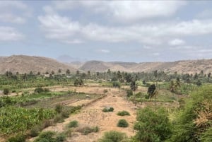 Explore the largest banana plantation in Cabo Verde