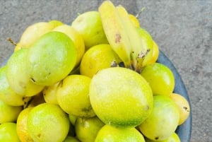 Explore the largest banana plantation in Cabo Verde