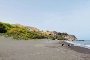 Explore the largest banana plantation in Cabo Verde