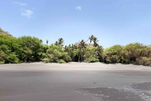 Explore the largest banana plantation in Cabo Verde