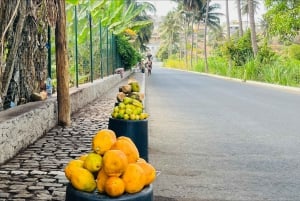 Explore the largest banana plantation in Cabo Verde