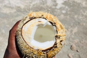 Poznaj największą plantację bananów na Cabo Verde