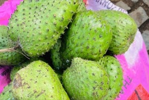 Poznaj największą plantację bananów na Cabo Verde