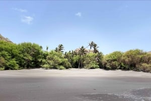 Poznaj największą plantację bananów na Cabo Verde