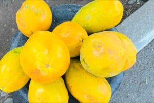 Poznaj największą plantację bananów na Cabo Verde