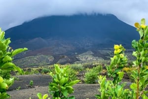 Fogo Island: Vandretur på toppen af vulkanen Pico do Fogo