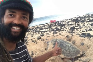 Von Boa Vista aus: Abendtour zur Schildkrötenbeobachtung und Nistplatzsuche