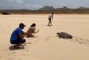 Da Boa Vista: Tour serale per l'osservazione delle tartarughe e dei nidi