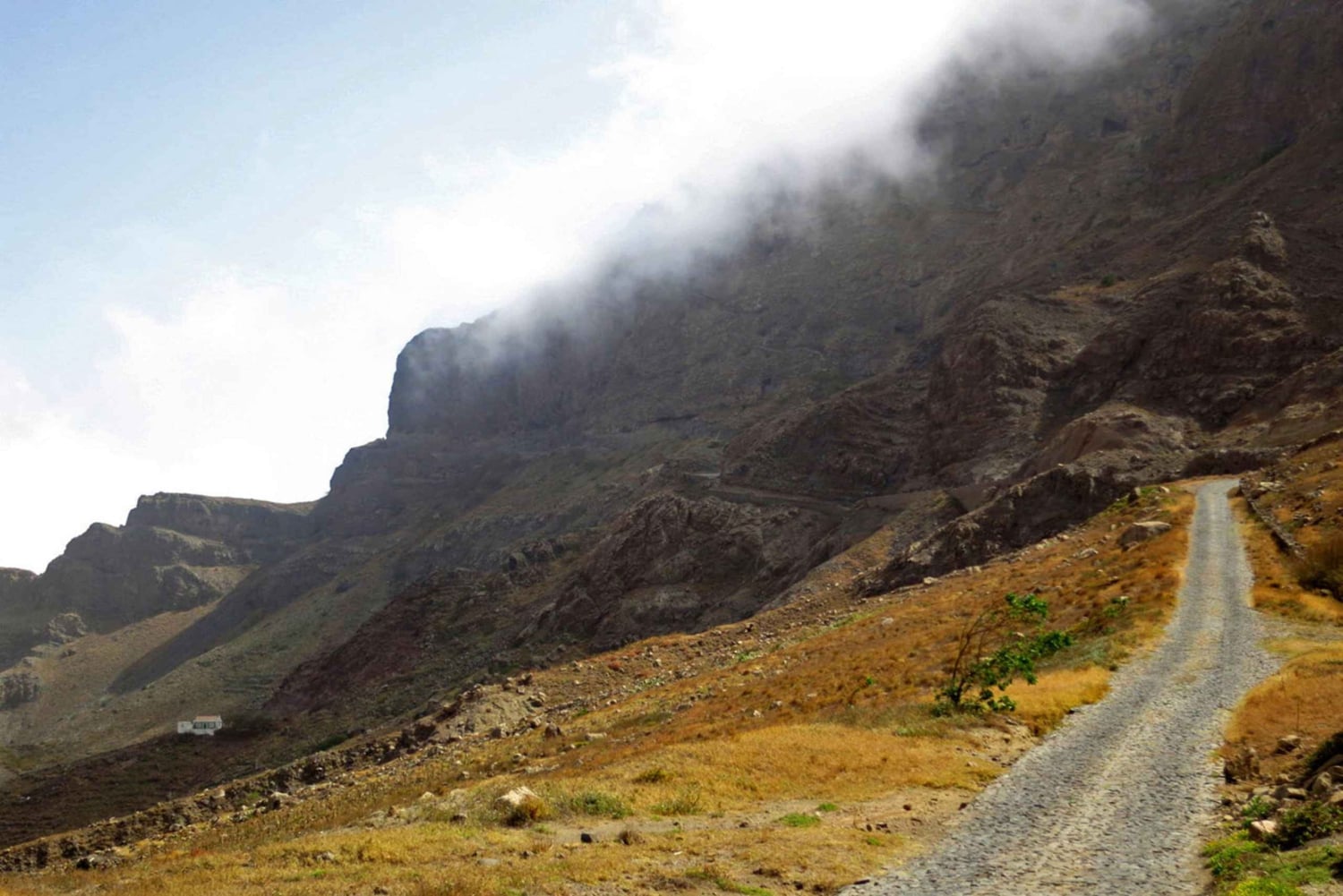 من مينديلو: جولة مشي طويلة إلى قمة مونتي فيردي