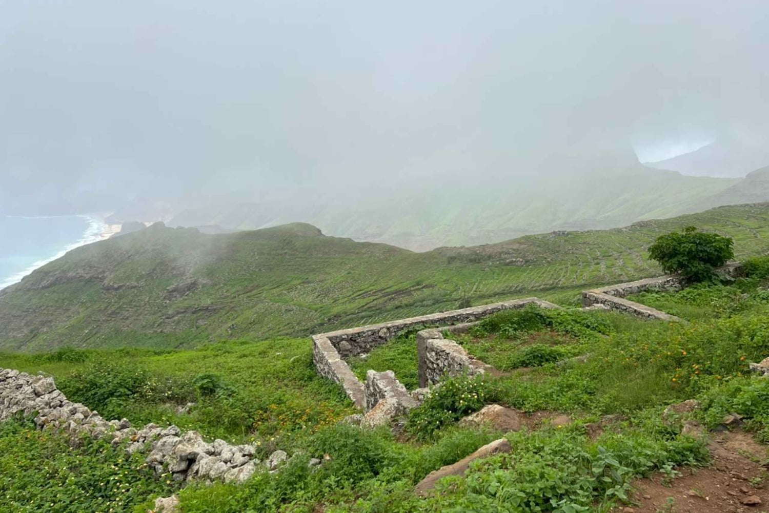 من مينديلو: جولة مشي طويلة إلى قمة مونتي فيردي