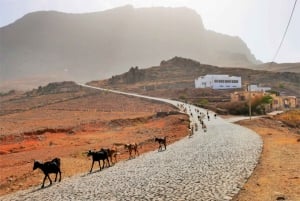 من مينديلو: جولة مشي طويلة إلى قمة مونتي فيردي