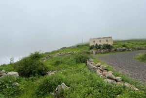 من مينديلو: جولة مشي طويلة إلى قمة مونتي فيردي