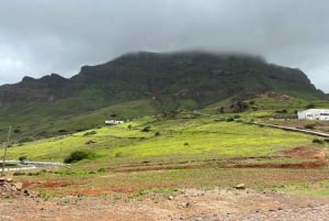 من مينديلو: جولة مشي طويلة إلى قمة مونتي فيردي