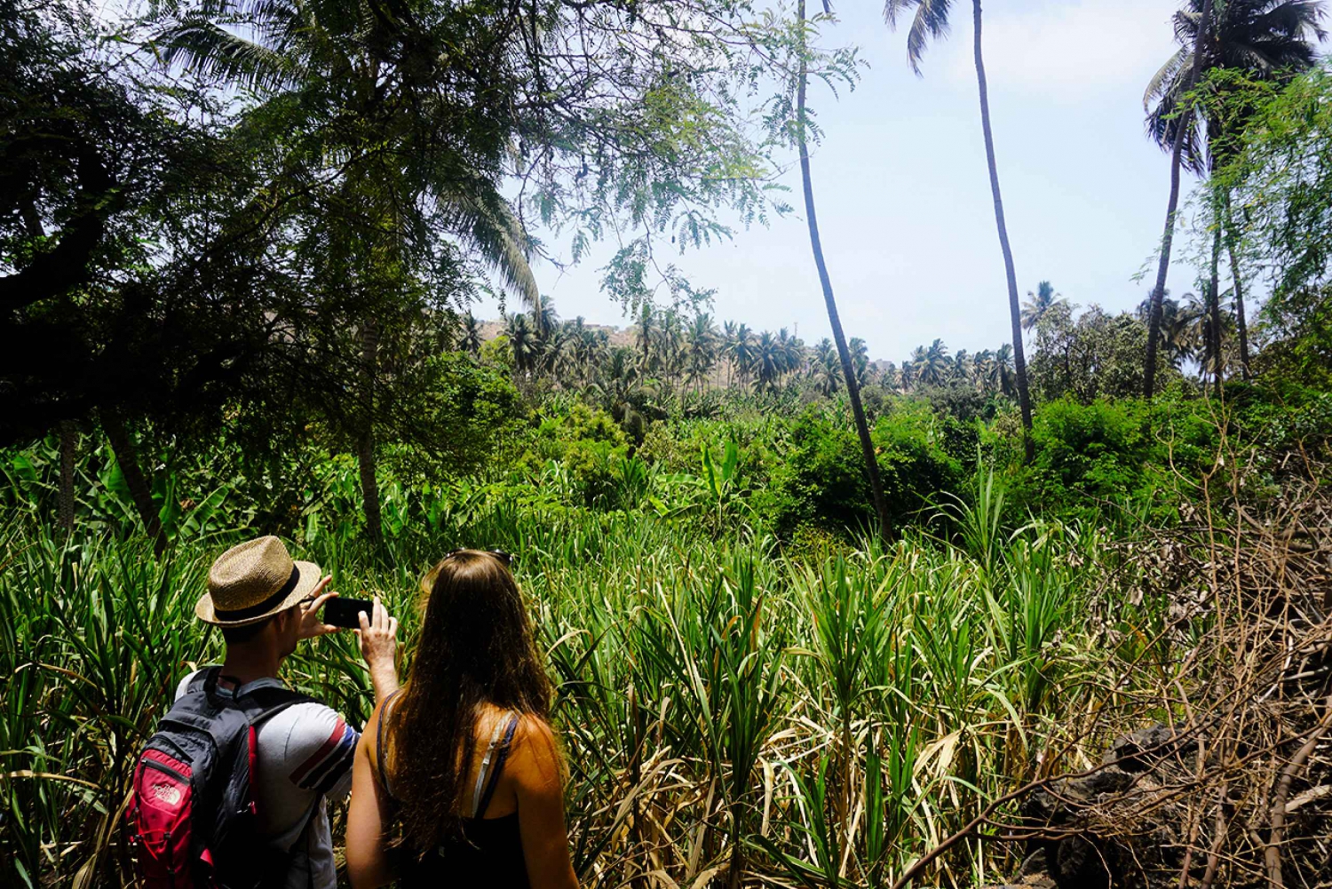 From Praia: Banana Plantation and Botanical Garden Tour