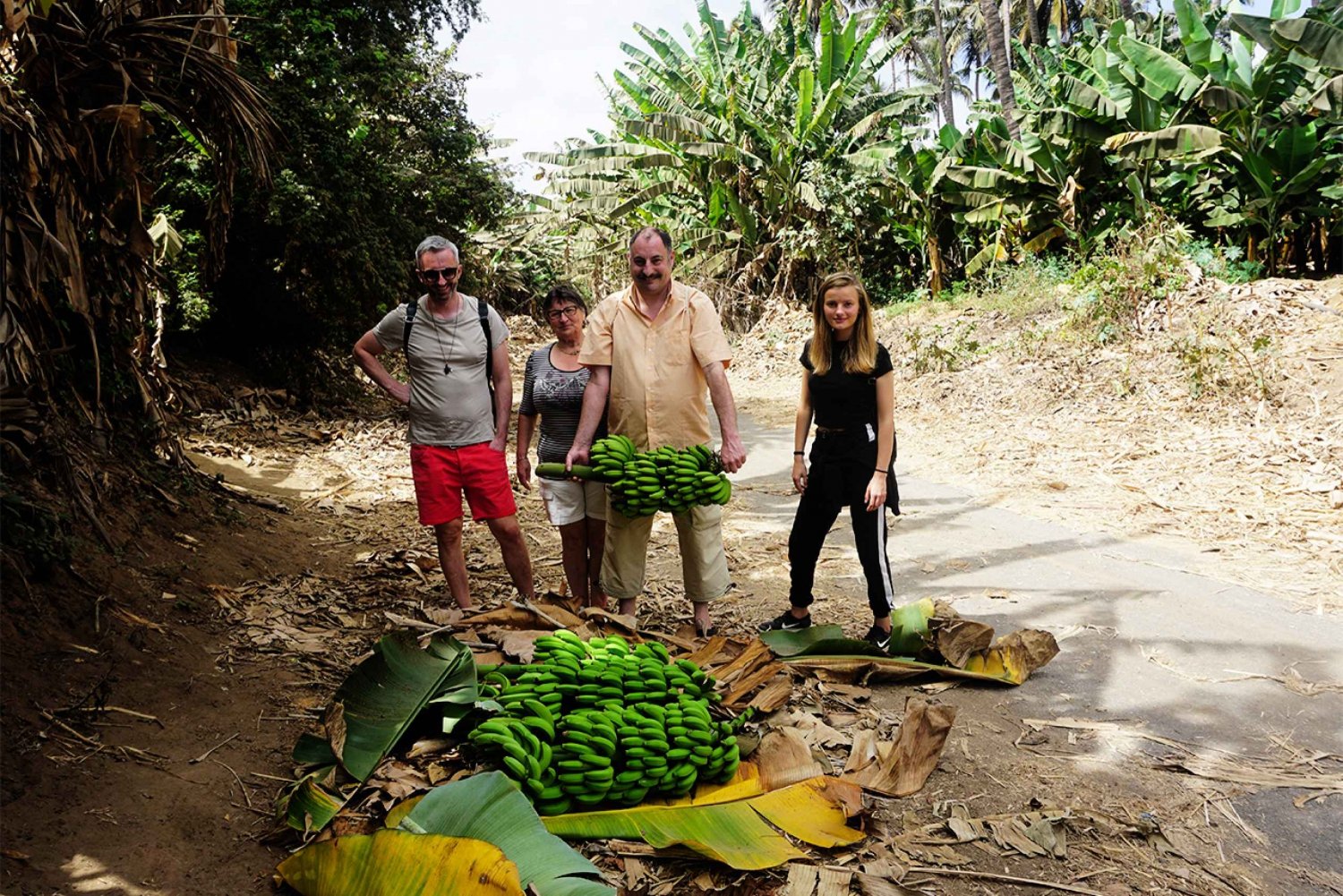 From Praia: Banana Plantation and Botanical Garden Tour